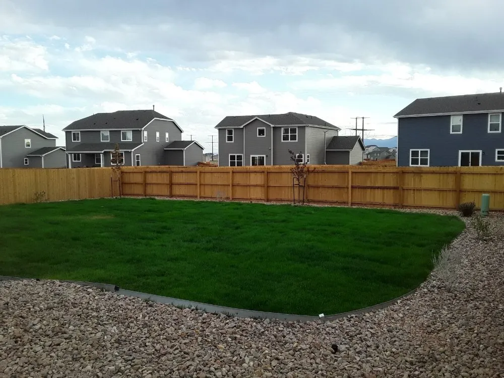 Expert yard cleanup service in Colorado Springs, CO by 28th Day Landscaping & Renovations
