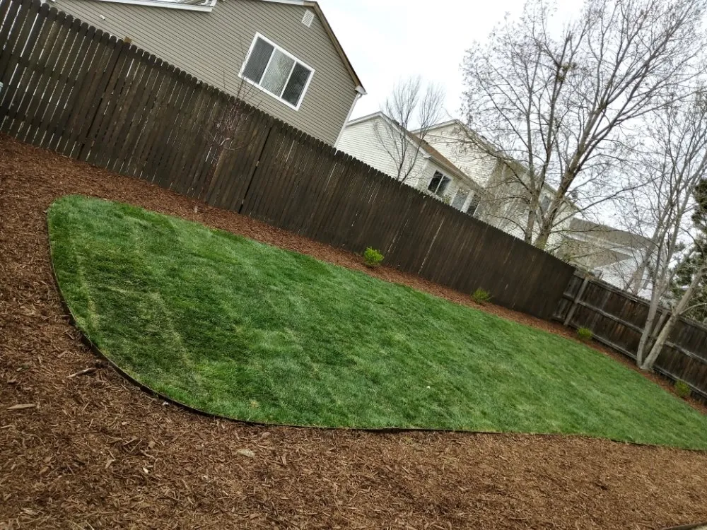 Affordable landscaping services in Colorado Springs, CO by 28th Day Landscaping & Renovations