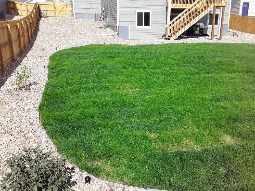 Top-rated lawn care service near you across Colorado Springs, CO - 28th Day Landscaping & Renovations