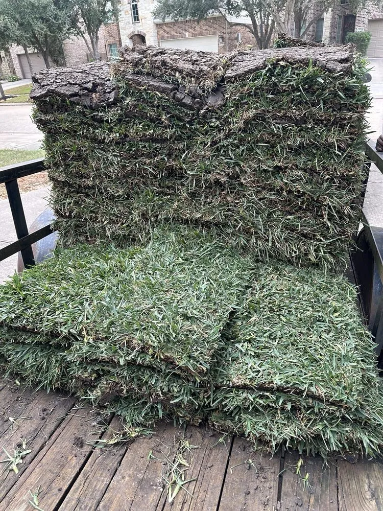 Custom landscape design in Cypress, TX - 290 Grass