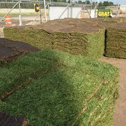 Top-rated lawn care service in Cypress, TX by 290 Grass