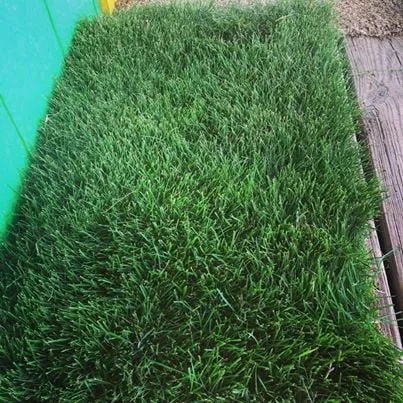 Trusted garden landscaping for residential properties across Cypress, TX - 290 Grass