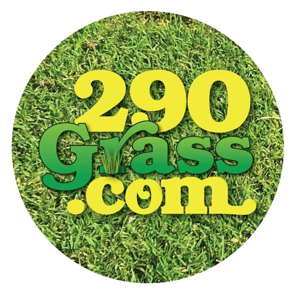 Top-rated yard cleanup service experts serving Cypress, TX - 290 Grass