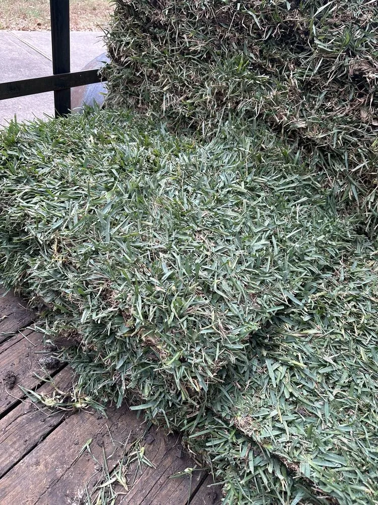 Custom lawn care service experts serving Cypress, TX - 290 Grass