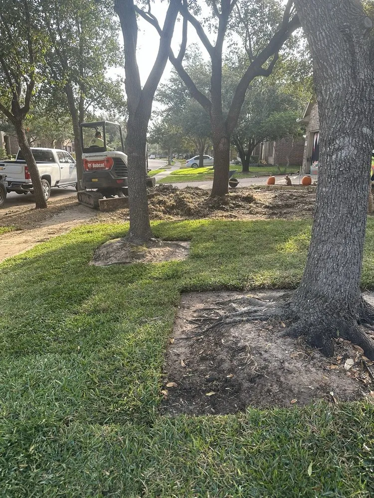 Affordable yard cleanup service in Cypress, TX - 290 Grass