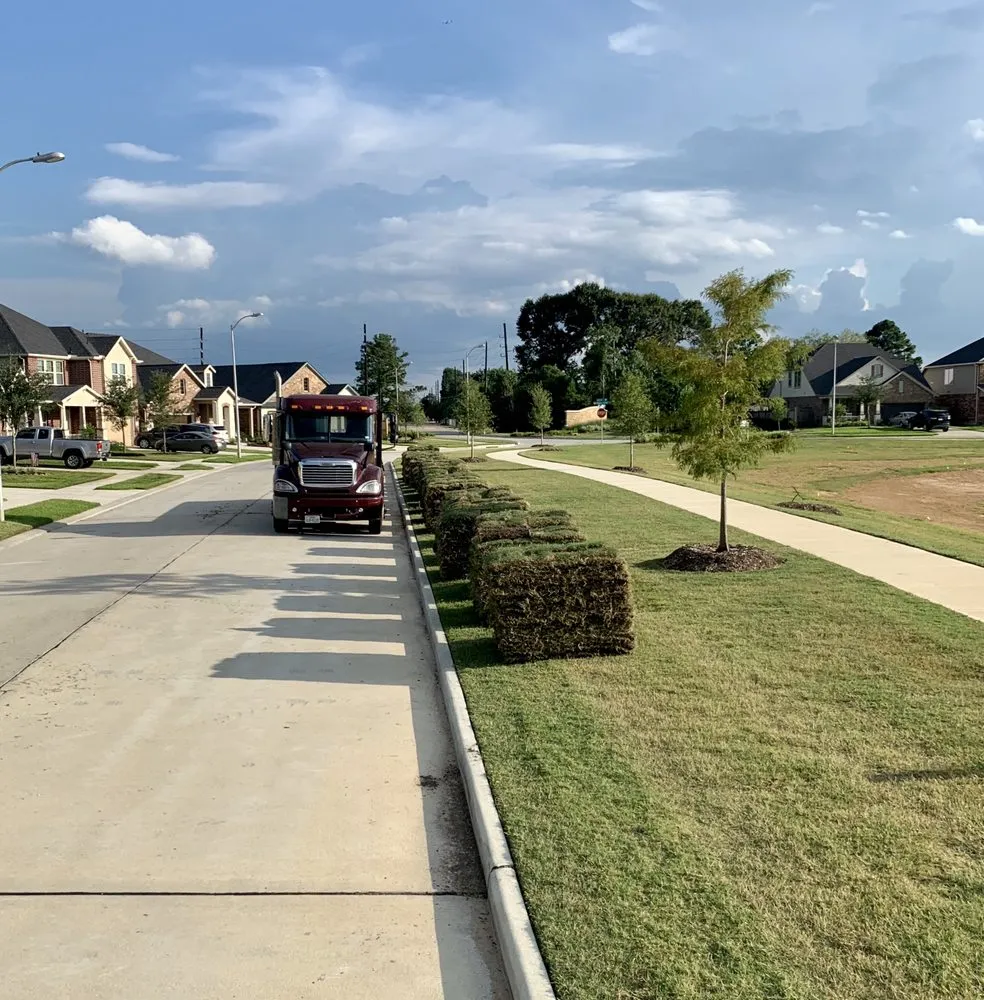 Affordable landscaping services for year-round maintenance across Cypress, TX - 290 Grass