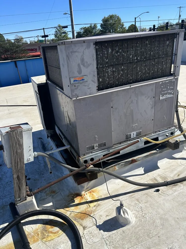 Reliable yard maintenance in Starkville, MS - 2911 Cleaning Service