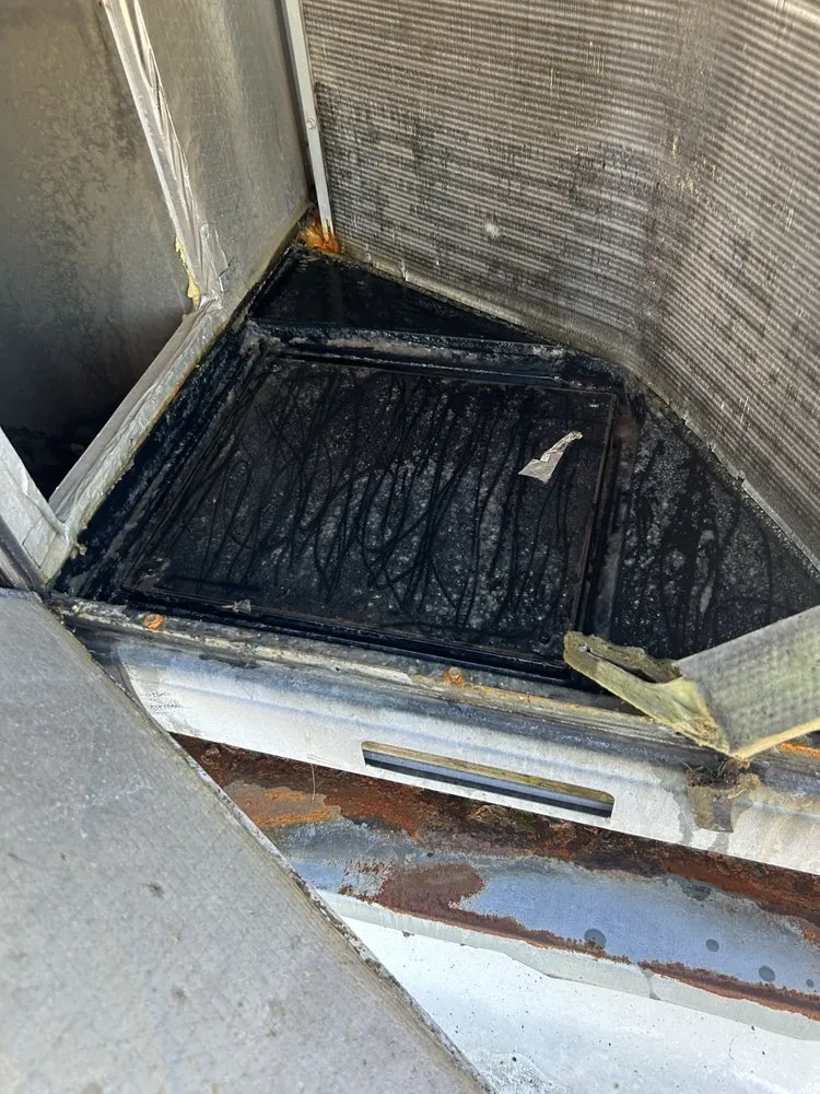 Professional garden landscaping in Starkville, MS - 2911 Cleaning Service