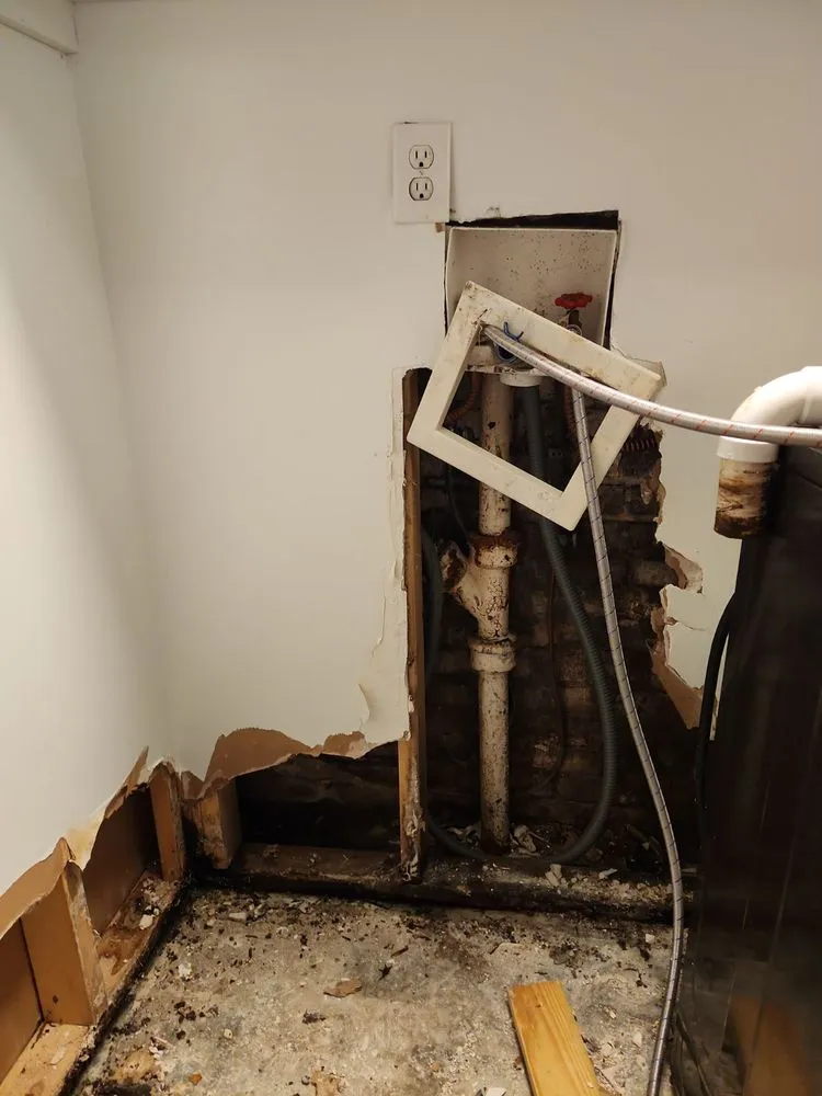 Professional garden landscaping for beautiful yards in Starkville, MS by 2911 Cleaning Service