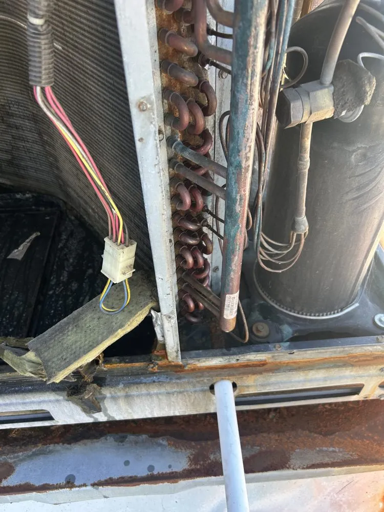 Custom lawn mowing service with custom design across Starkville, MS - 2911 Cleaning Service