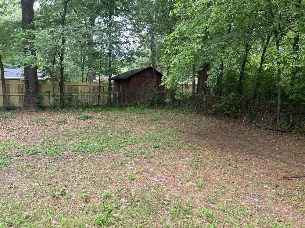 Local residential landscaping experts serving Starkville, MS - 2911 Cleaning Service