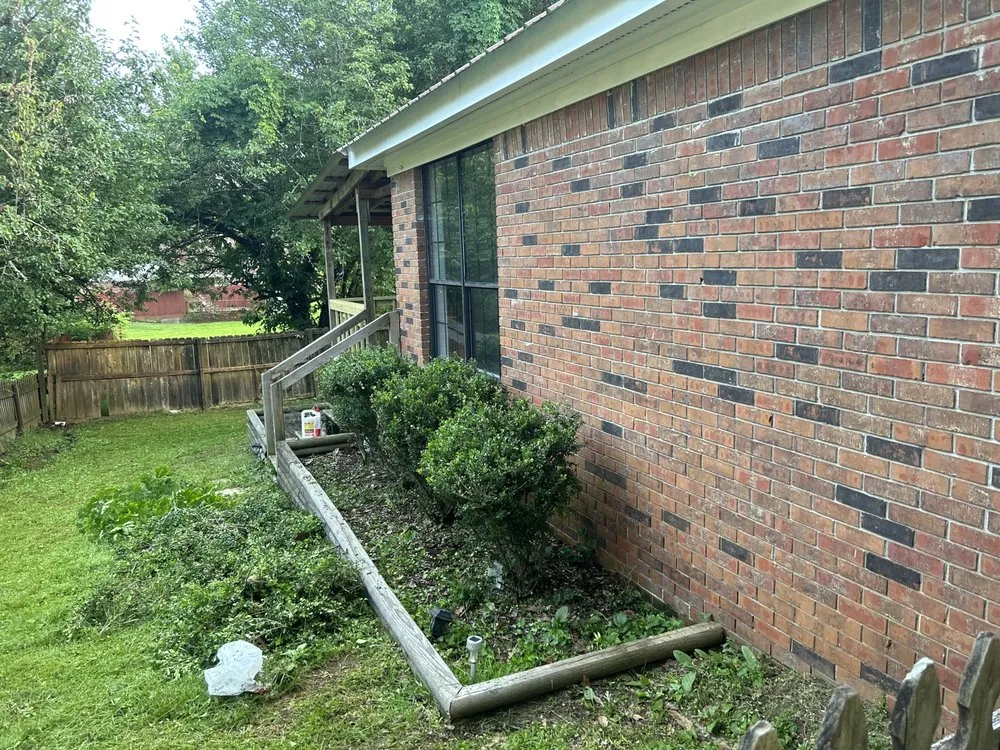 Expert yard maintenance for beautiful yards across Starkville, MS - 2911 Cleaning Service