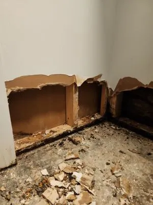 2911 Cleaning Service Logo