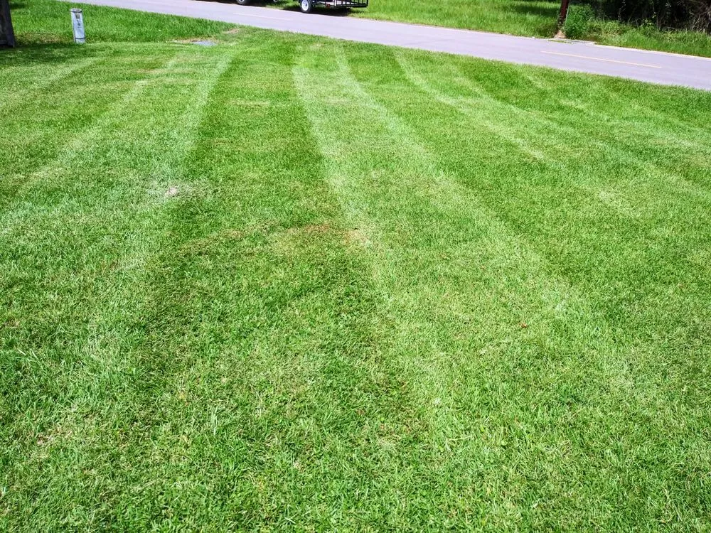 Top-rated landscaping services near you in Hammond, LA by 2A Brother's Lawn Care Services