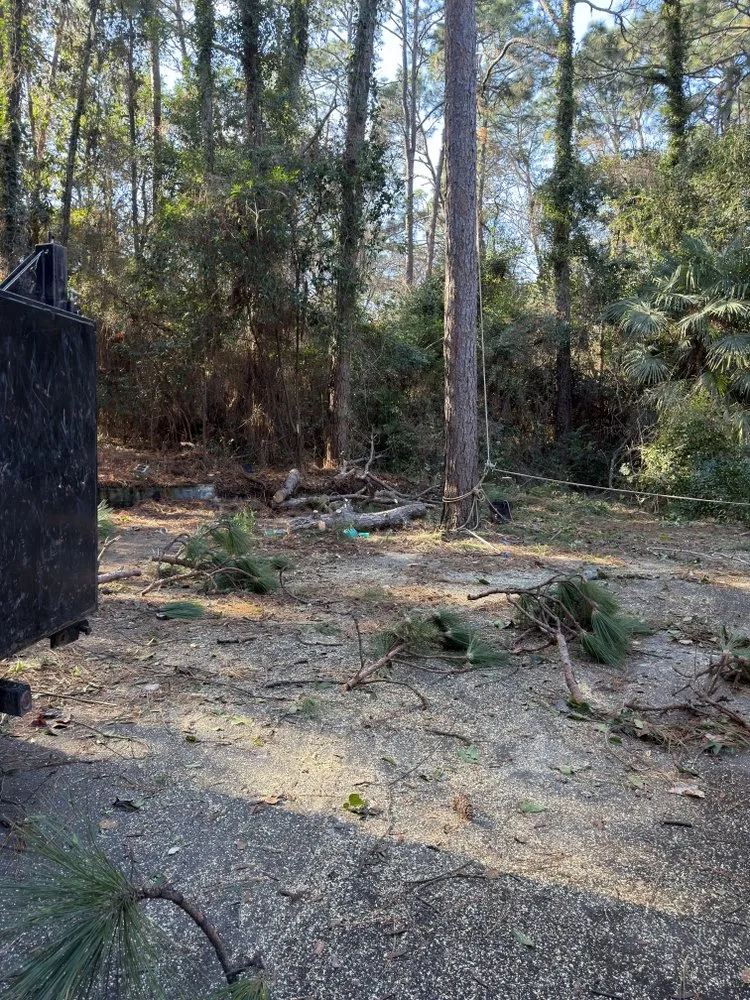 Custom yard cleanup service in Robbins, NC - 2B Landscaping