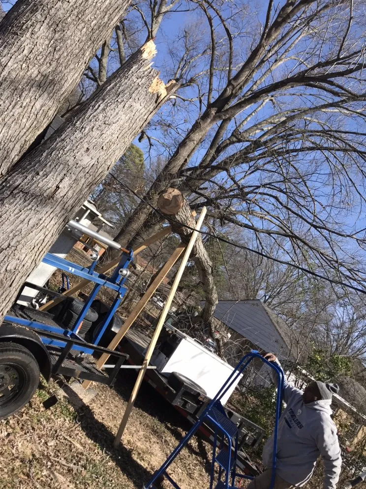 Reliable landscape design for year-round maintenance across Memphis, TN - 2Certified The Enterprise