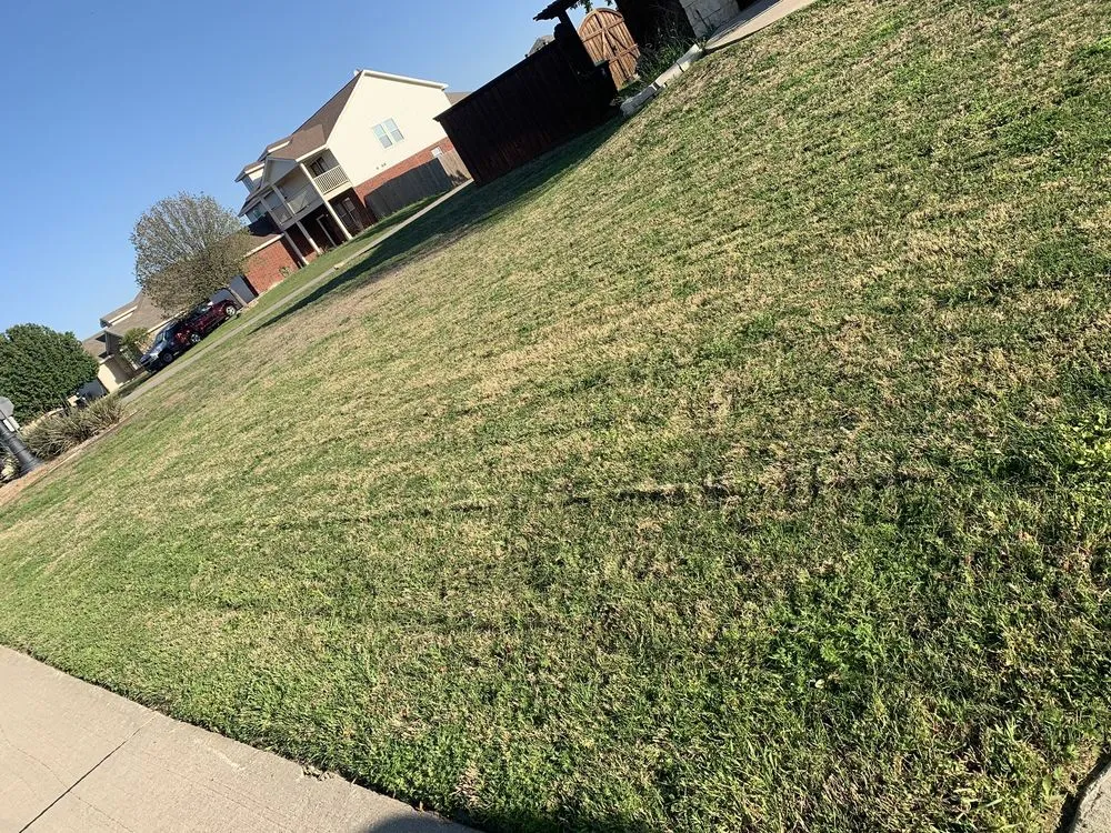 Reliable outdoor landscaping in Memphis, TN - 2Certified The Enterprise