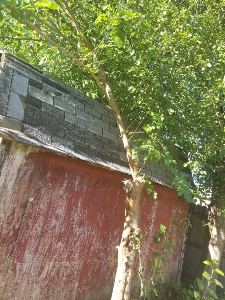 Expert garden landscaping for beautiful yards across Evansville, IN - 2Dudes 1Chick Lawn Services