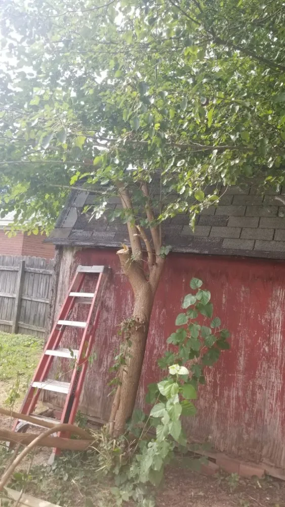 Local yard cleanup service near you in Evansville, IN by 2Dudes 1Chick Lawn Services