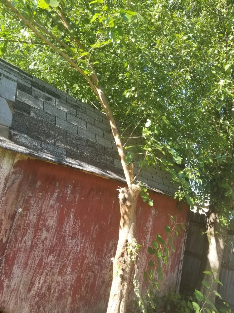 Expert lawn care service experts serving Evansville, IN - 2Dudes 1Chick Lawn Services