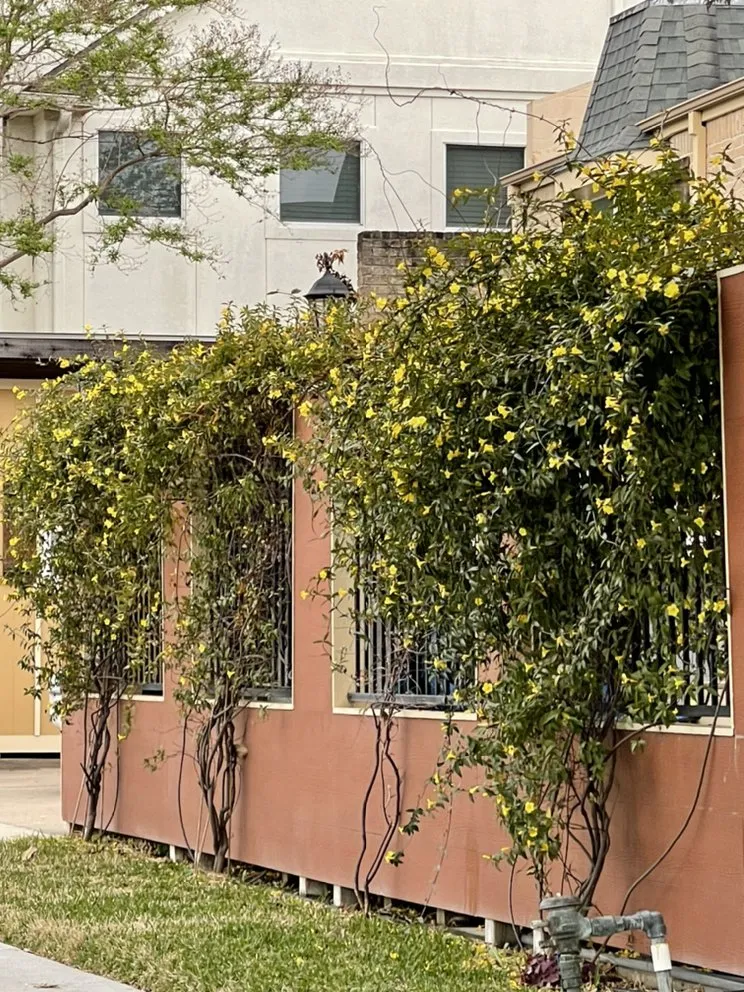 Custom garden landscaping in Katy, TX - 2Gals Landscaping And Construction