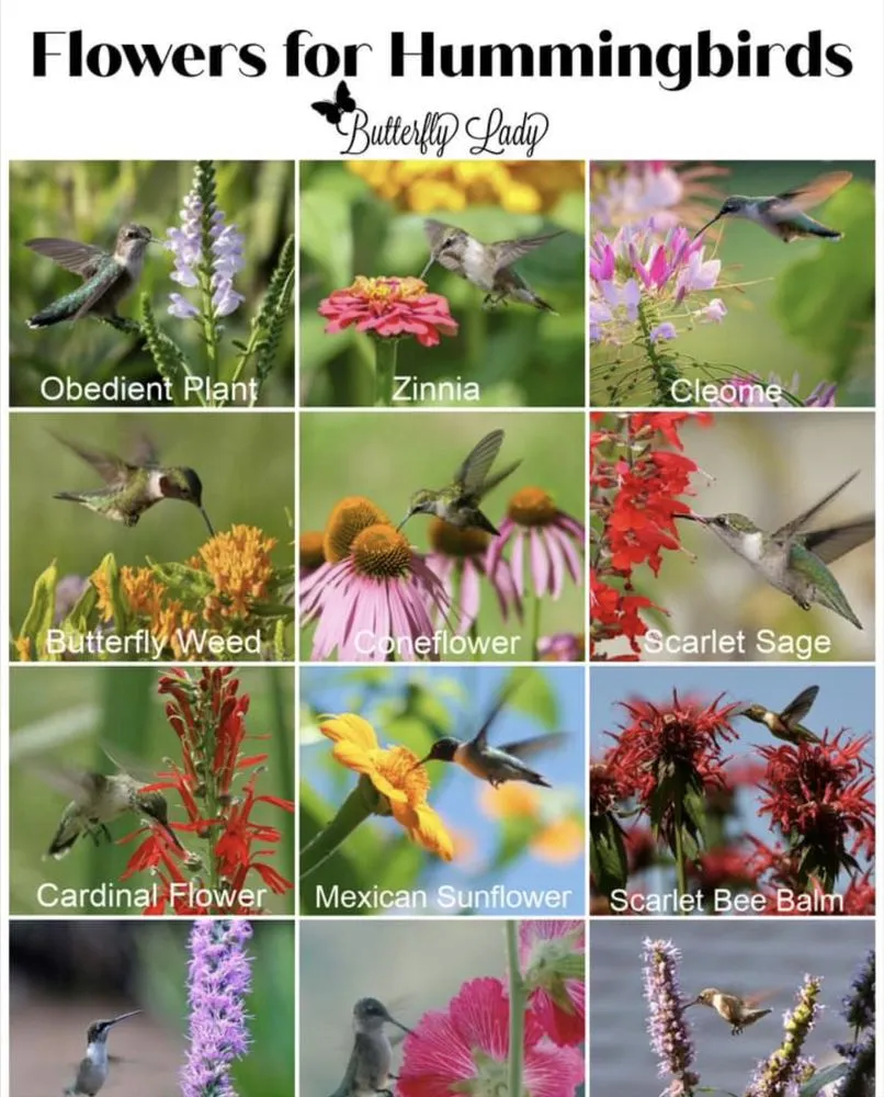 Top-rated landscape installation experts serving Katy, TX - 2Gals Landscaping And Construction