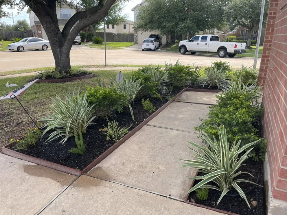 Affordable yard cleanup service in Katy, TX by 2Gals Landscaping And Construction