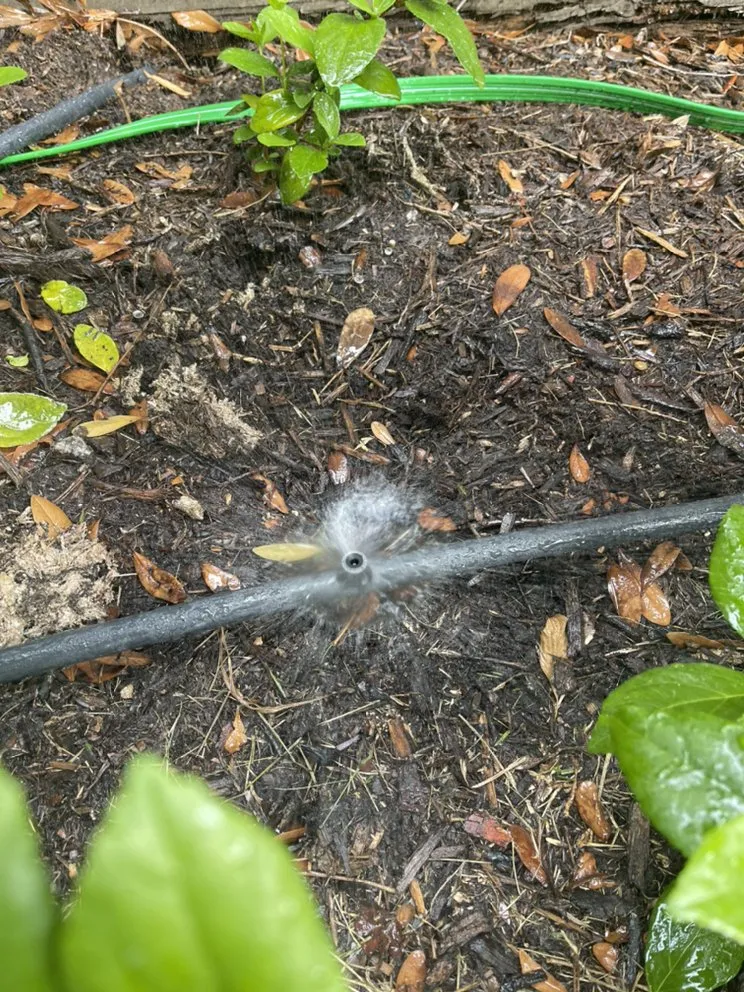 Top-rated garden landscaping in Katy, TX - 2Gals Landscaping And Construction