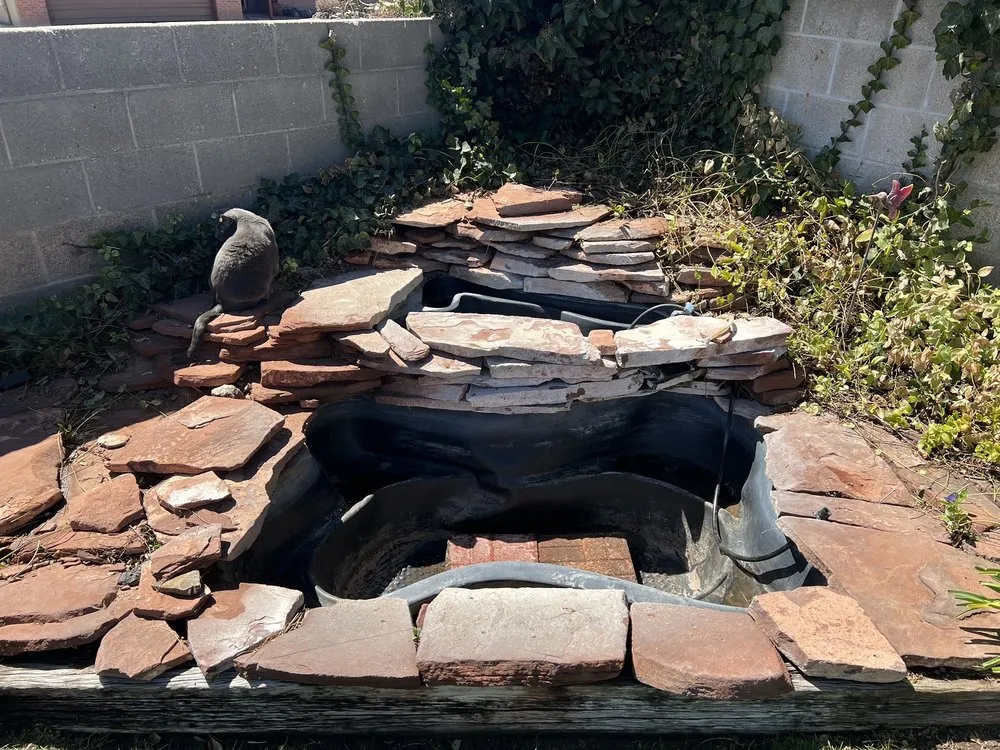 Custom garden landscaping in Albuquerque, NM - 2Green Landscapes