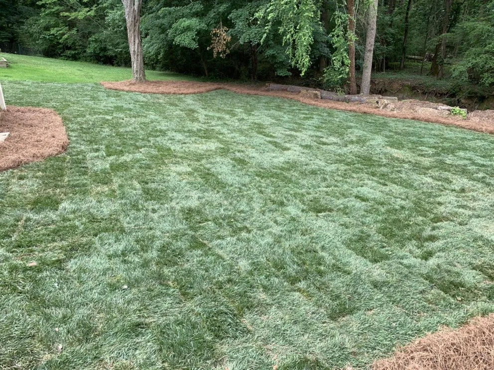 Local lawn care service in Douglasville, GA by 2guys Landscaping & Tree Service