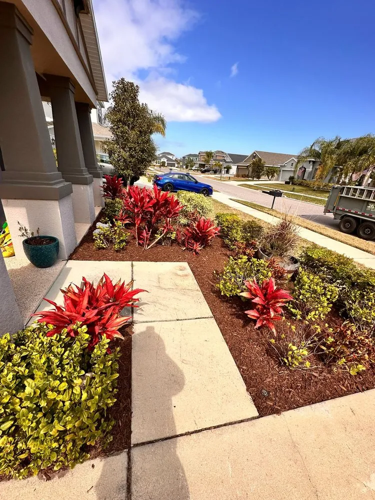 Top-rated lawn care service for beautiful yards across New Port Richey, FL - 2J’S Lawn Care