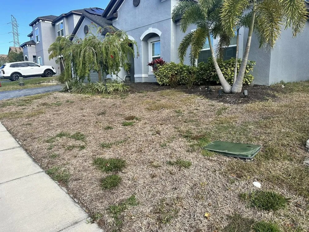 Custom lawn care service in New Port Richey, FL - 2J’S Lawn Care