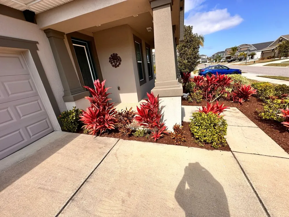 Professional yard cleanup service in New Port Richey, FL - 2J’S Lawn Care