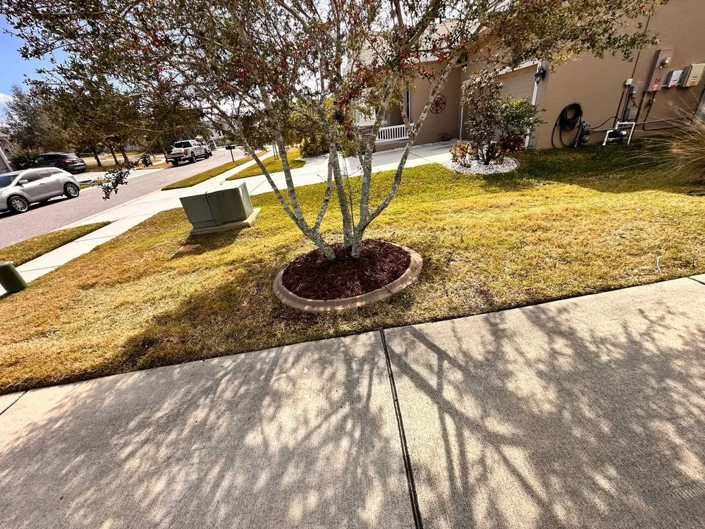 Professional landscape design in New Port Richey, FL - 2J’S Lawn Care