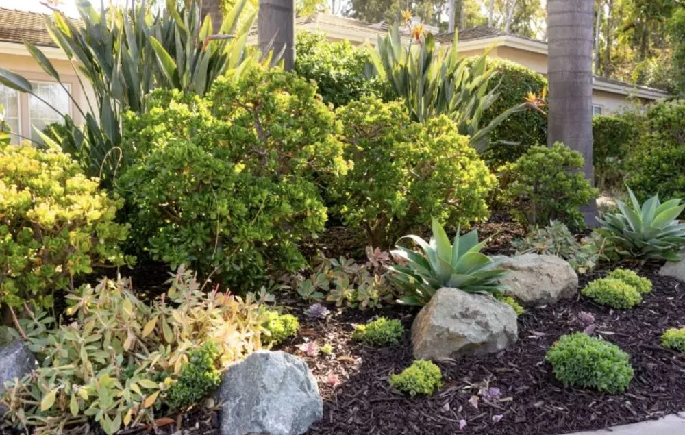 Custom landscape installation in Lauderdale Lakes, FL - 2js Maintenance And Lawn Care