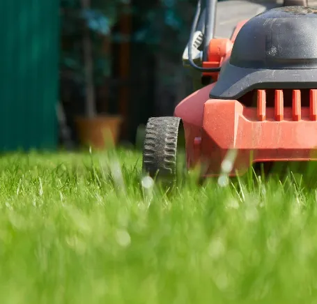 Affordable landscape design in Apopka, FL by 2K'S Landscaping