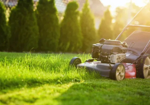 Professional lawn care service experts serving Apopka, FL - 2K'S Landscaping