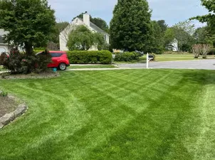 Professional landscape design experts serving Apopka, FL - 2K'S Landscaping