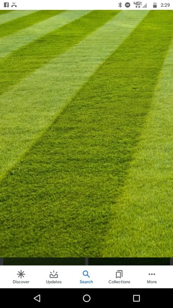 Affordable landscaping services for residential properties in Winchester, TN by 2M Lawn Care