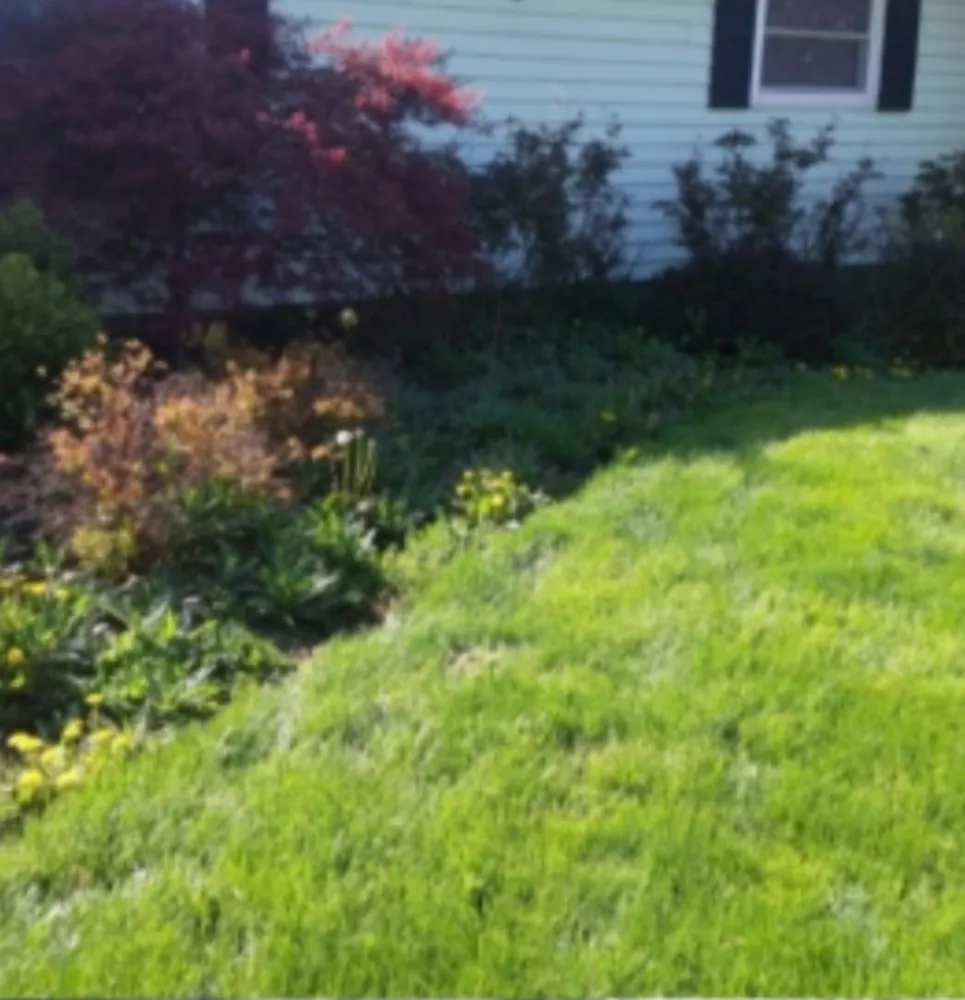 Expert landscape design for residential properties in Winchester, TN by 2M Lawn Care