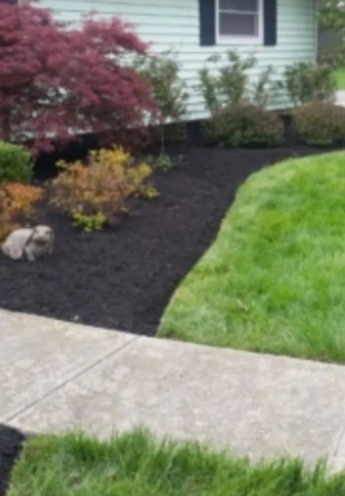 Local yard cleanup service in Winchester, TN by 2M Lawn Care