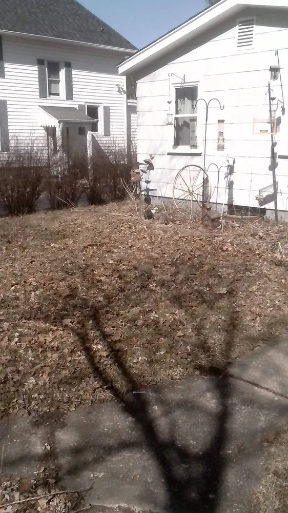 Affordable landscaping services near you across Rockford, IL - 2M Lawncare