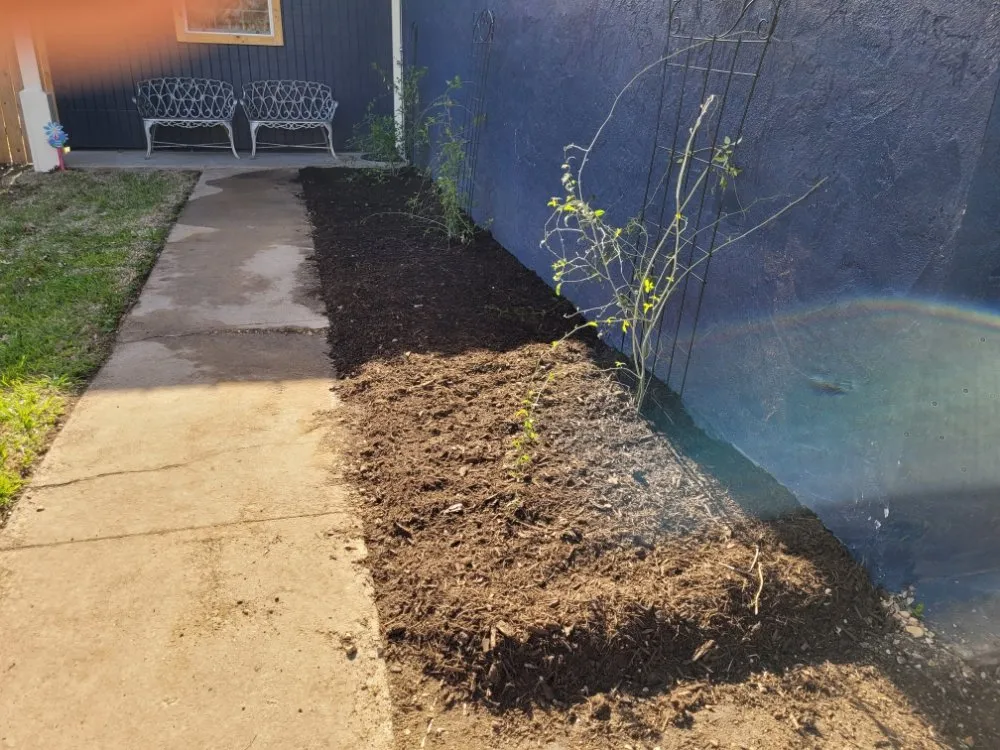 Affordable yard maintenance experts serving Lockhart, TX - 2nd Chance Landscaping And Lawncare