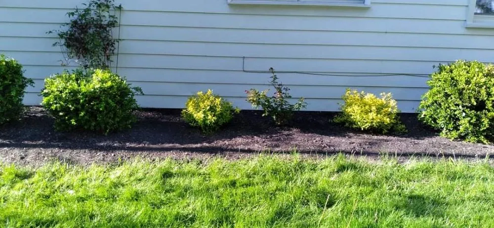 Affordable yard cleanup service for beautiful yards in Elyria, OH by 2nd Chance Landscaping