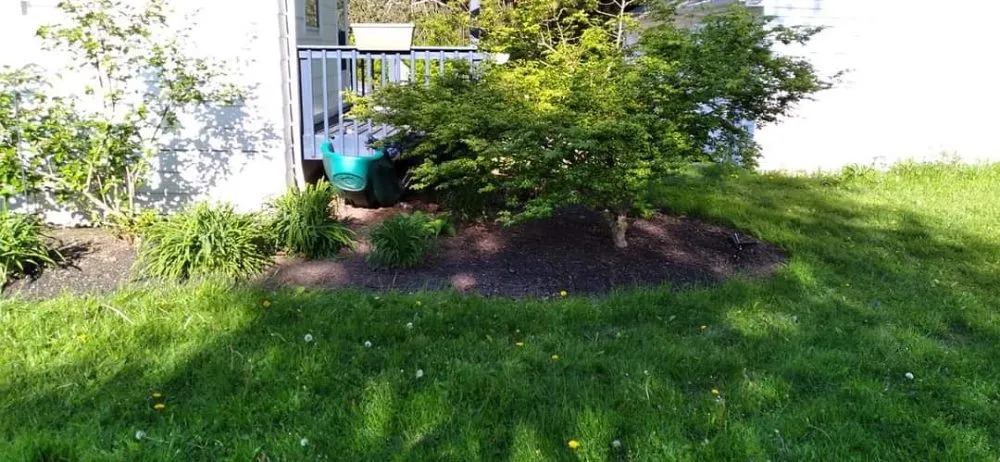 Reliable yard maintenance experts serving Elyria, OH - 2nd Chance Landscaping
