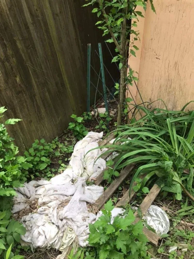 Trusted lawn care service with custom design in Elyria, OH by 2nd Chance Landscaping