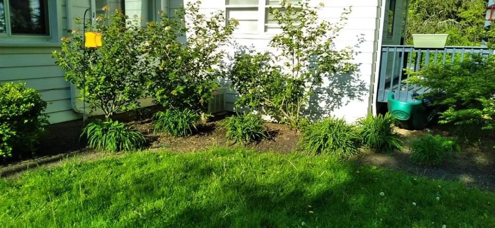 Expert yard maintenance for outdoor upgrades in Elyria, OH by 2nd Chance Landscaping