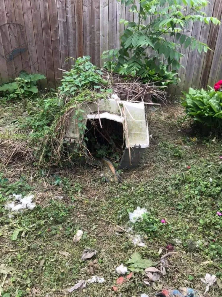 Custom lawn care service in Elyria, OH - 2nd Chance Landscaping