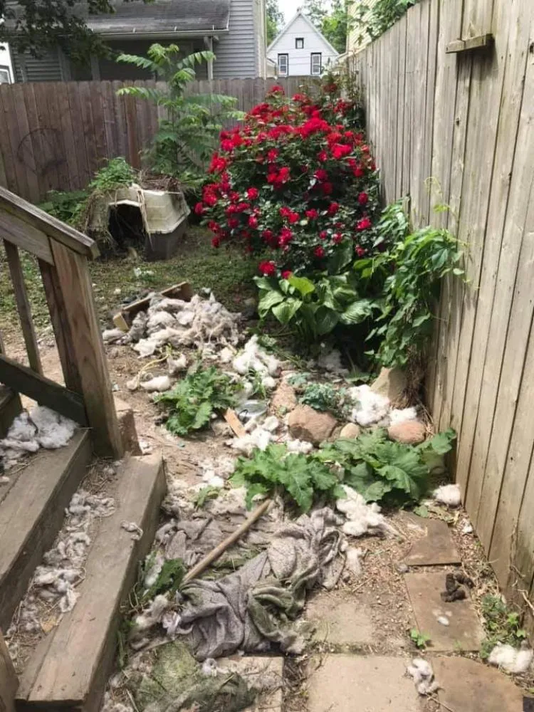 Professional landscape installation in Elyria, OH - 2nd Chance Landscaping