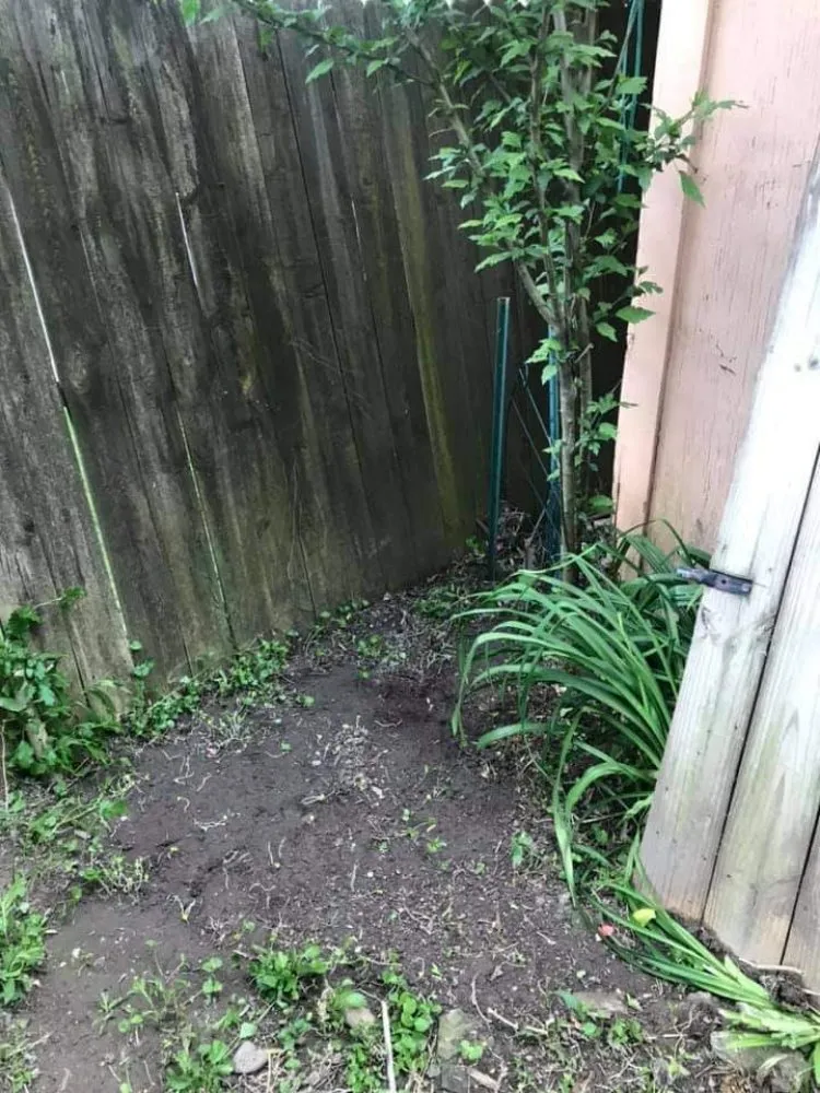 Local lawn mowing service in Elyria, OH by 2nd Chance Landscaping